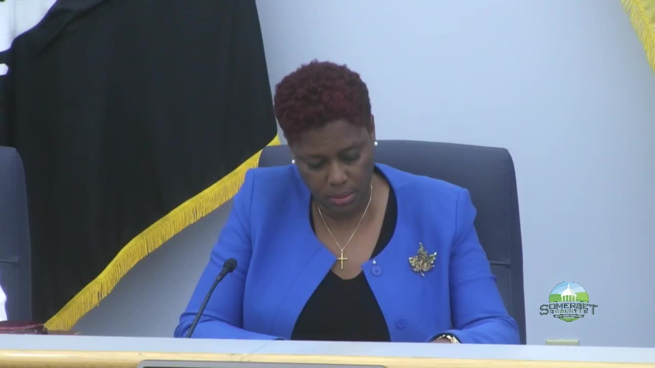 Somerset County lists multiple grant insertions and special revenues, including opioid settlement and flood mitigation funds