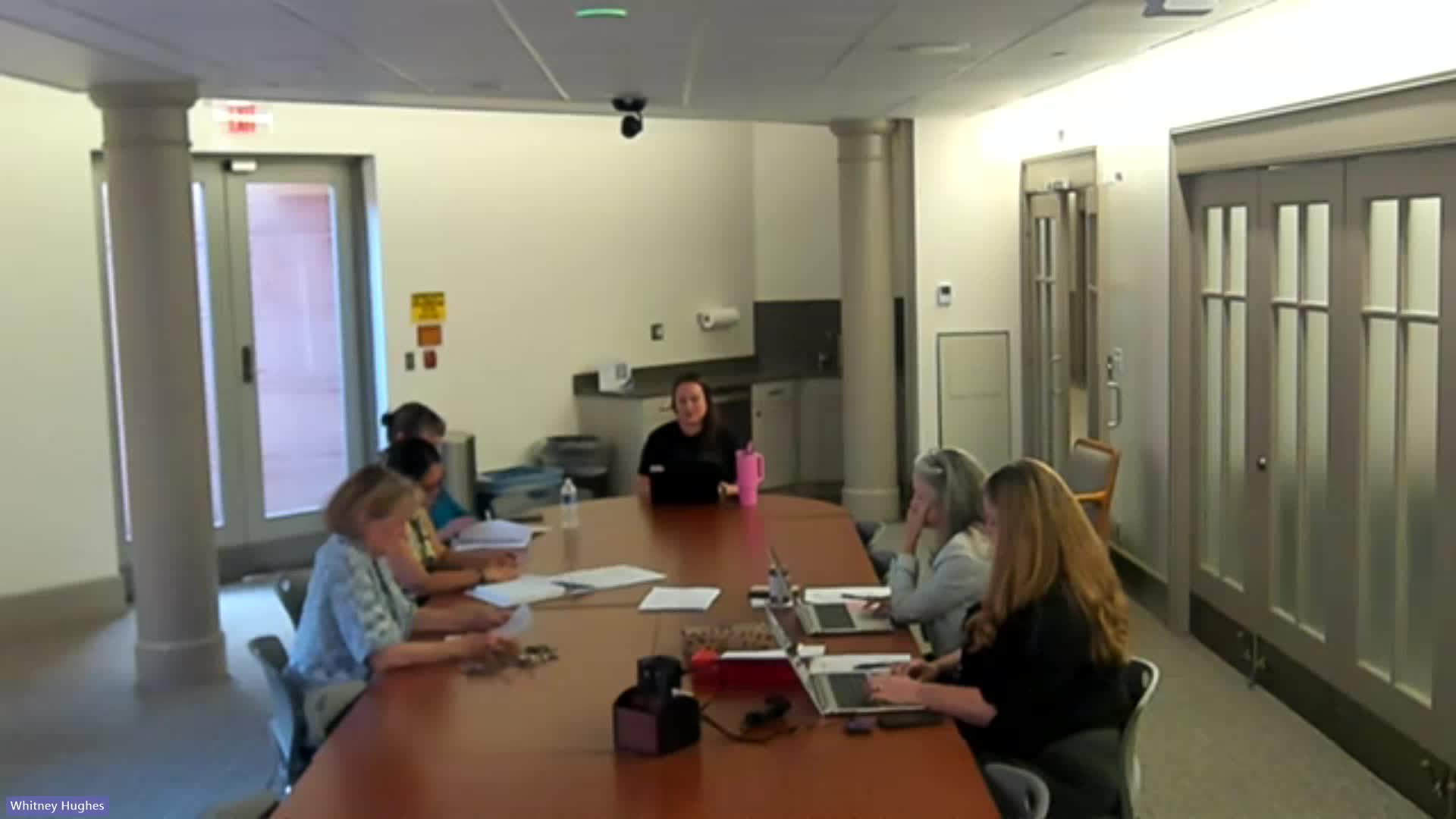 Town Council discusses demographic survey and artist selection timeline for November meeting