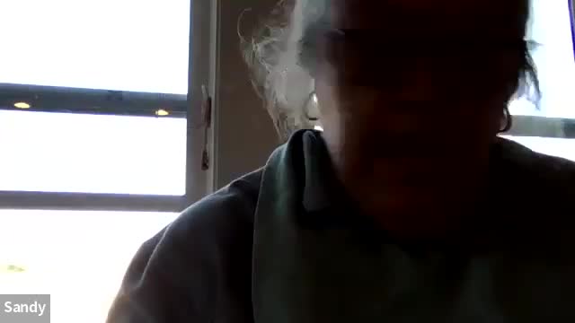 Committee reports strong fundraising but warns of volunteer shortfall and float-site repairs