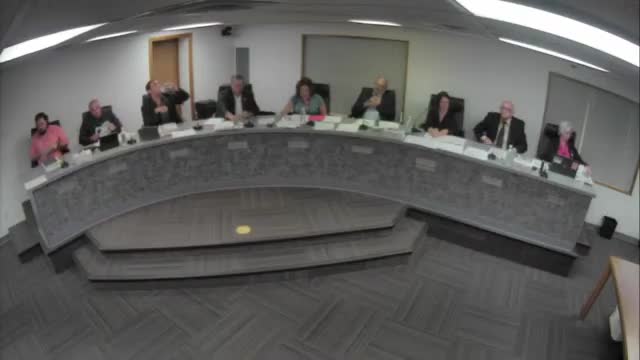 Council approves first and second readings of Project Wellness resolution after executive session