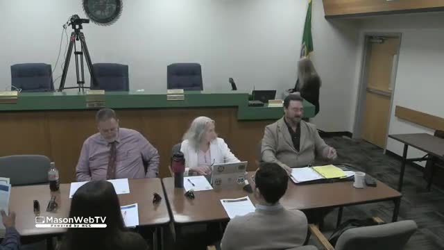 State Auditor outlines 2024 audits for Mason County, including single-audit review of federal recovery funds