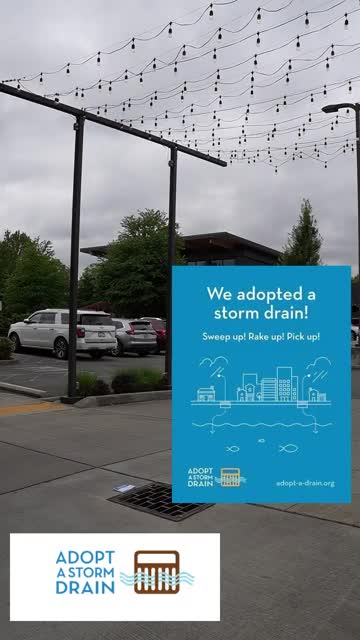 Kenmore, Hamline University roll out Adopt‑a‑Drain volunteer program to reduce stormwater pollution