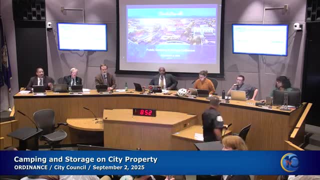 Human Services director outlines programs, counts and next steps; council urged to fund outreach team expansion