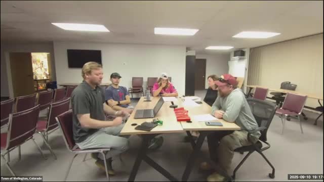 Wellington staff outline playground slide replacement, engineered wood-fiber refills and underpass drainage work