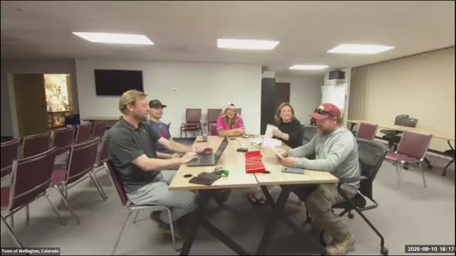 Advisory board vets bylaws edits and discusses trustee appointment process; ordinance sets member terms