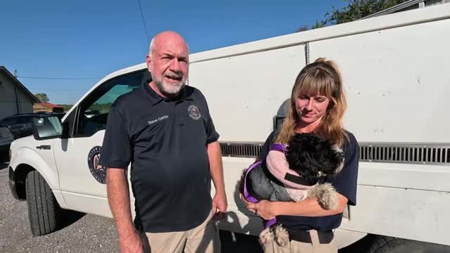 Wilson County Animal Control Seeks Information on Dog Shot Twice named Little Bug