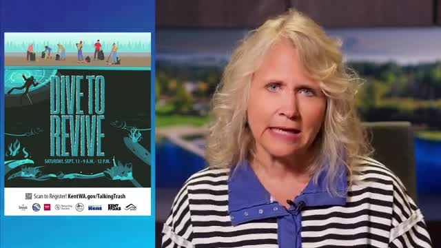 City to host ‘Dive to Revive’ cleanup at Lake Meridian Park