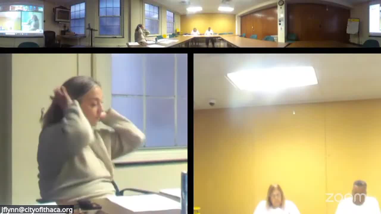 Panel designates ICSD custodian position as 55-a noncompetitive appointment for a certified candidate