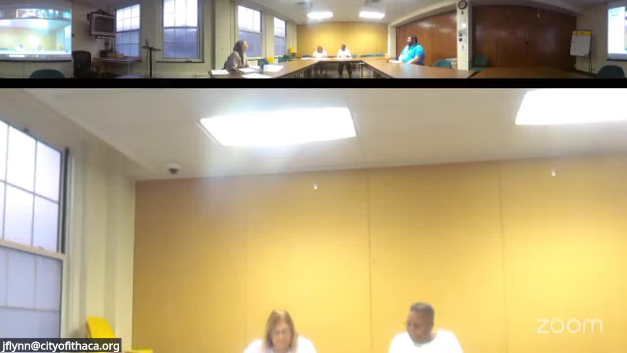 Panel approves reclassification to create two senior youth program coordinator roles