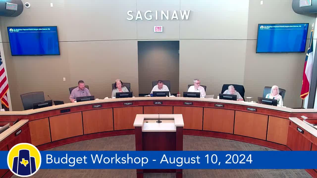 Workshop reviews McElroy drainage, park upgrades, library costs and animal‑shelter plans