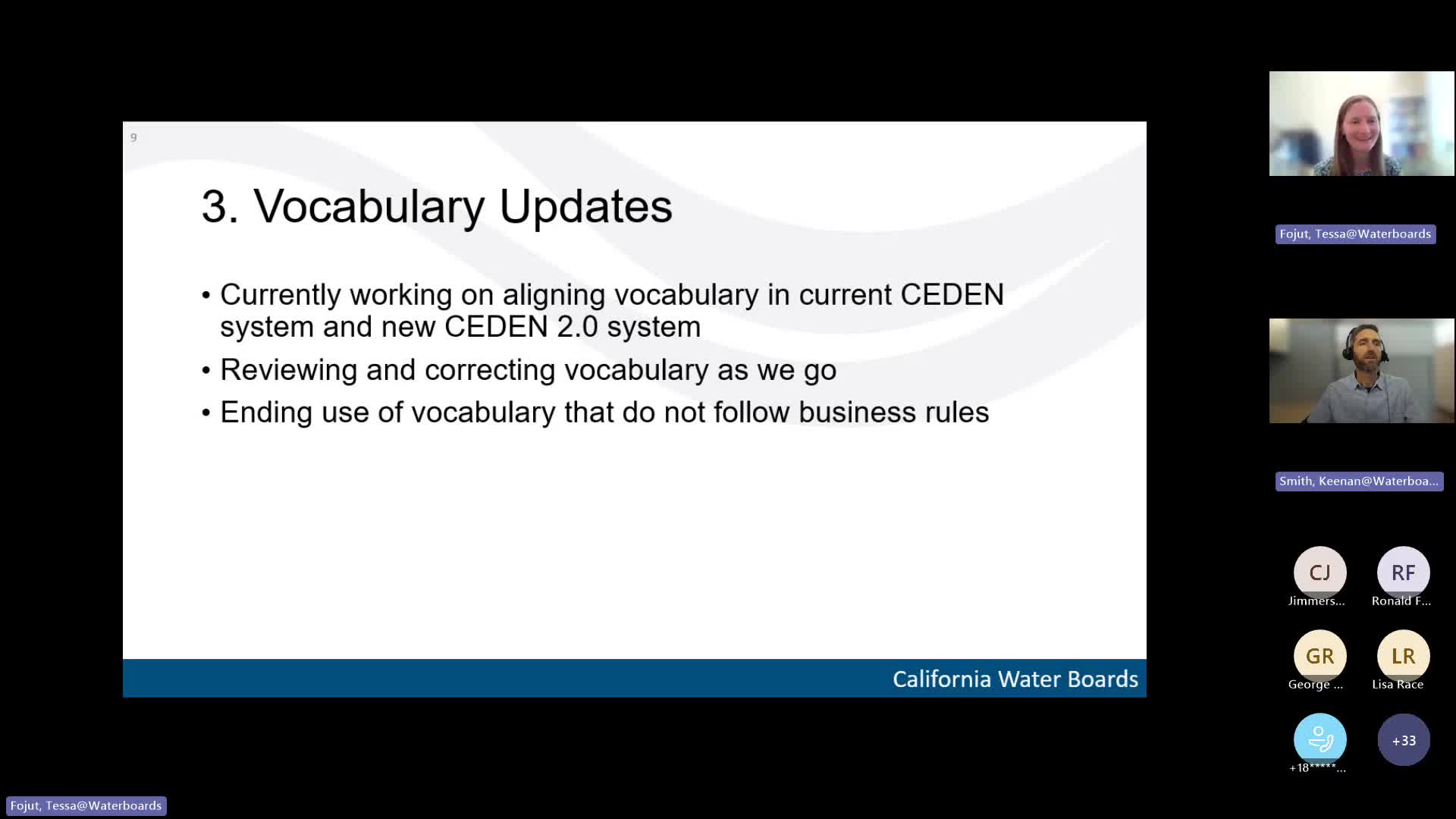 Staff outline vocabulary cleanup ahead of SEEDEN 2: automated tools, CAS-number fixes and limited migration of unused terms