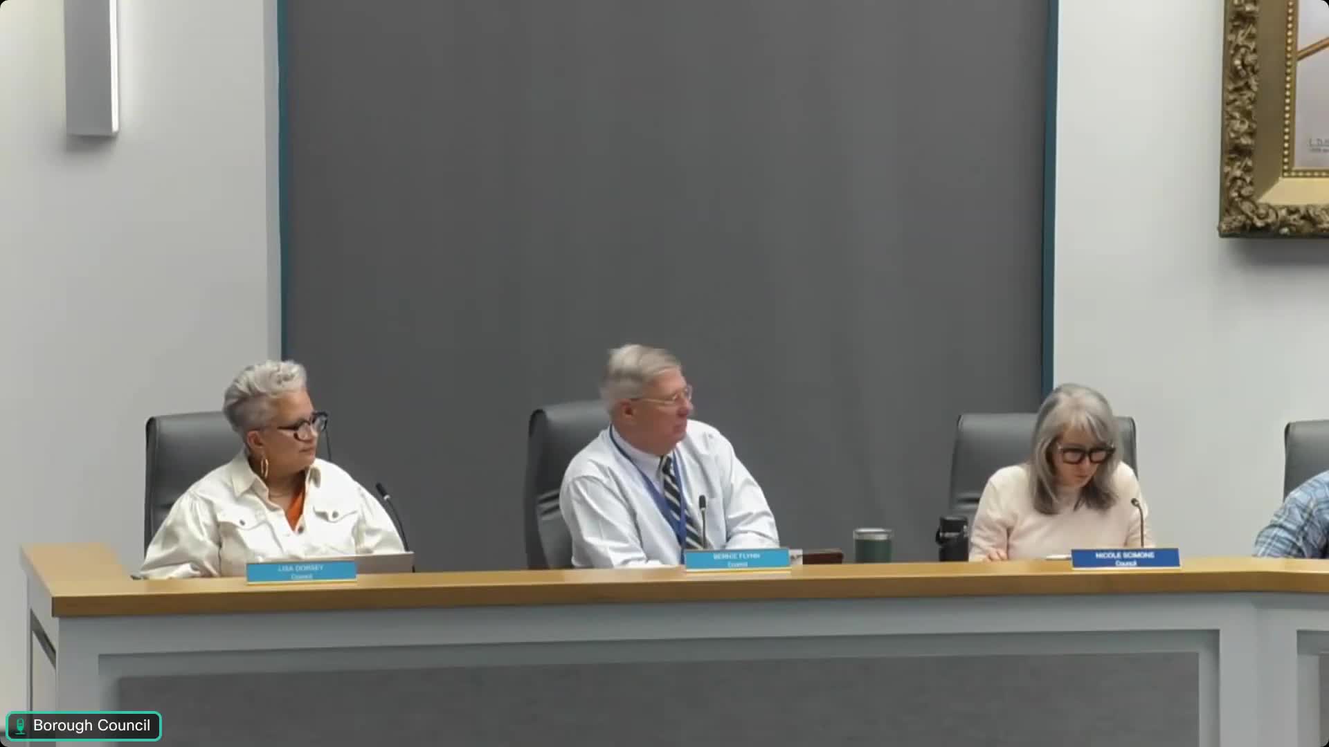 Borough Council Approves Zoning Changes and Appoints New Zoning Officer Aaron Fluke