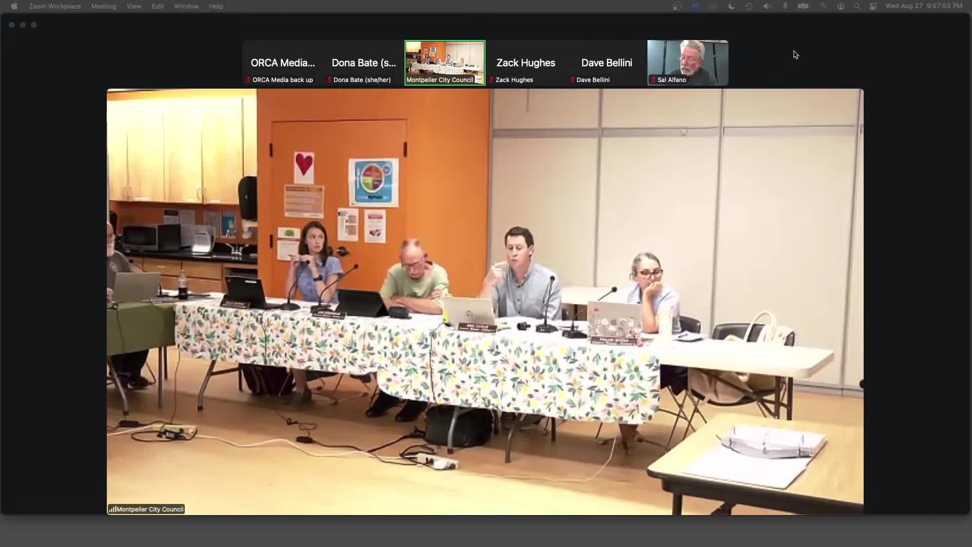 Council approves revised housing-committee charge and smaller membership