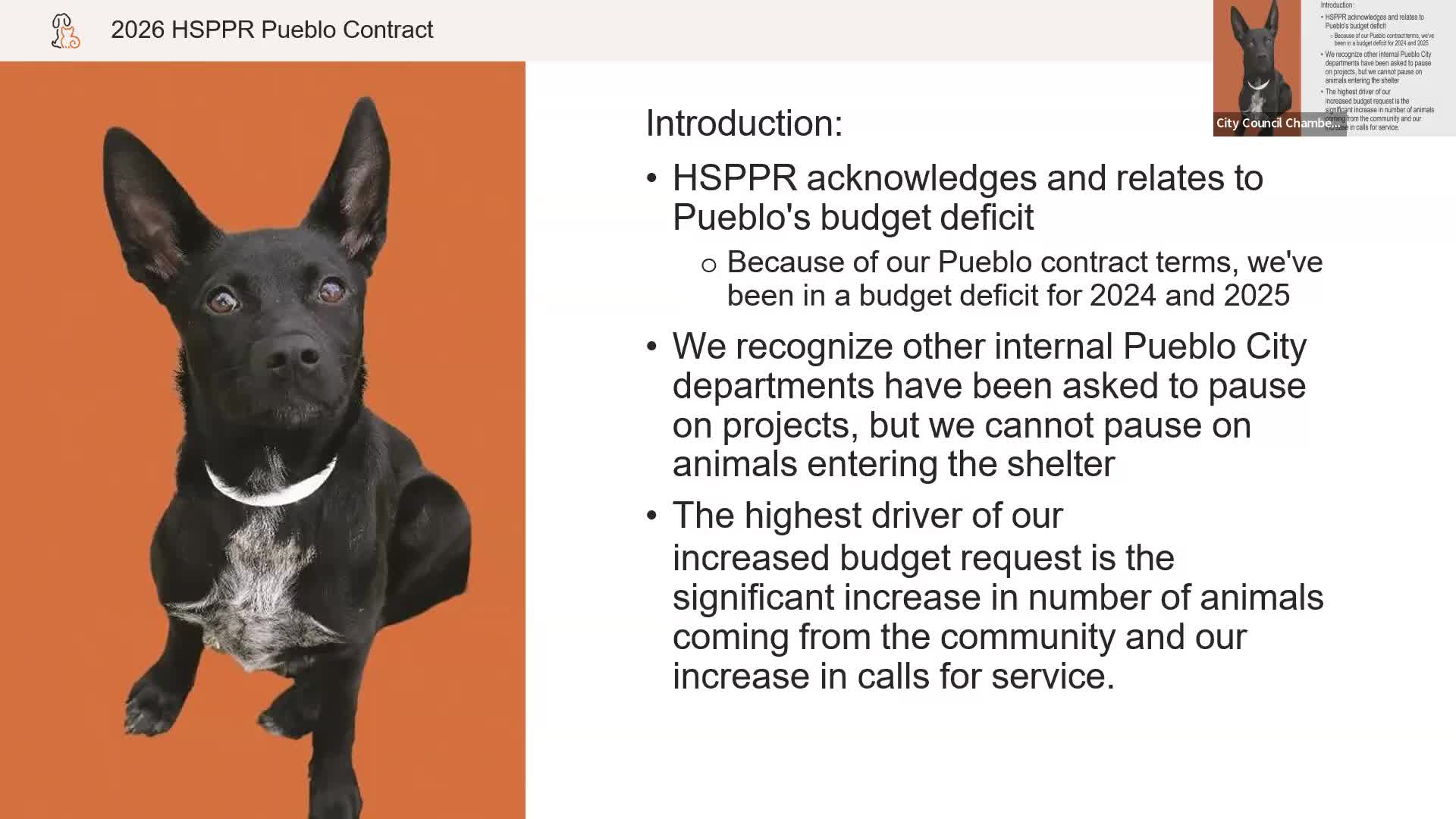 HSPPR Requests $170K Increase to Address Overwhelming Animal Shelter Demand in Pueblo