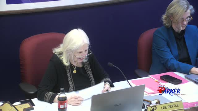 Council approves consent agenda and discusses funding options for Dublin Road; appointments item withdrawn