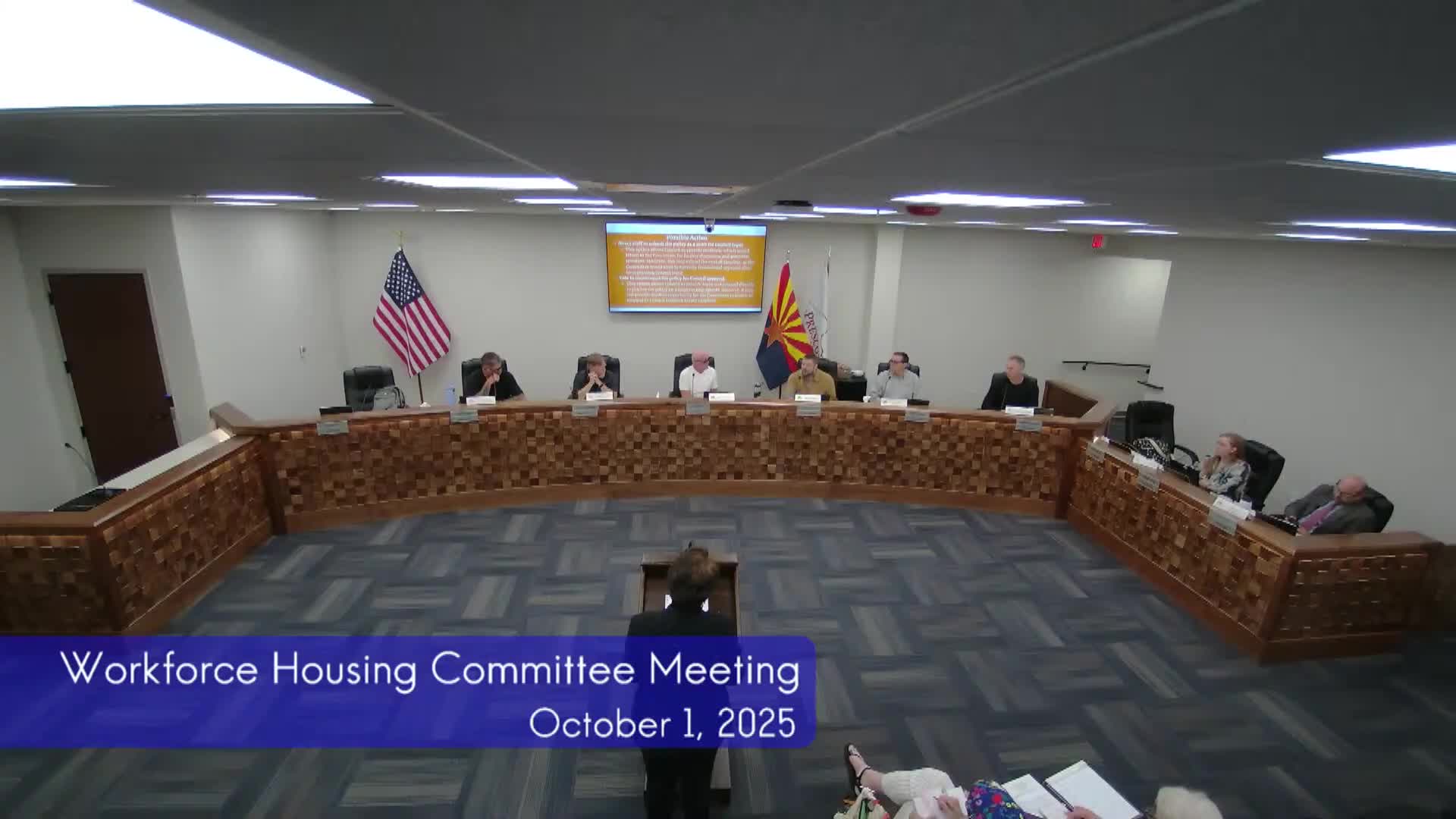Council Committee Discusses Early Vote and Presentation Strategies for New Policy