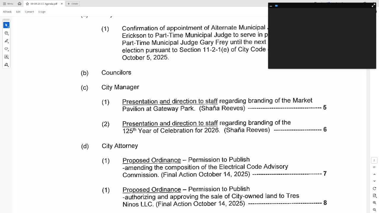 Council approves publishing ordinance to change composition of Electrical Code Advisory Commission