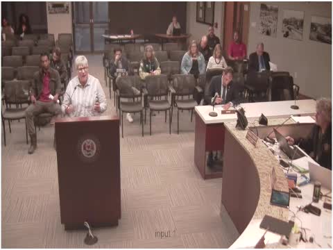 City Discusses Childcare Licensing Regulations and Zoning Concerns