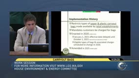 Lawmakers hear implementation updates and industry, recycling and environmental perspectives on Washington's carryout-bag law