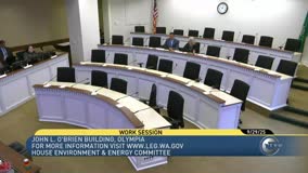 Washington Environment and Energy Committee Reviews Clean Energy Programmatic Environmental Impact Statements
