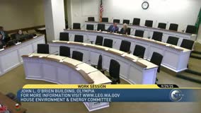 State Ecology says clean-energy programmatic EISs aim to speed siting, flag site-specific risks