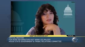 Governor's Office Discusses Distinction in Immigration Policy During Committee Hearing