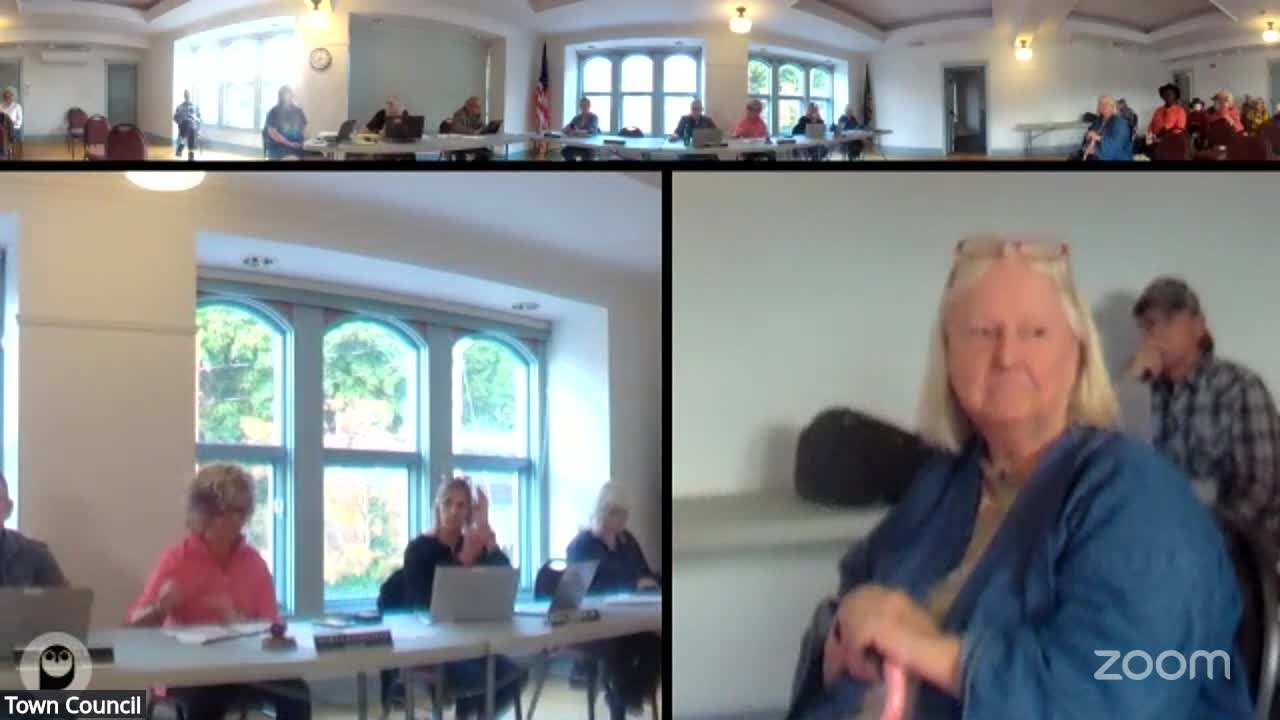 Council grants temporary cabaret license to Nomad LeConner; members set outside music curfew and note code constraints