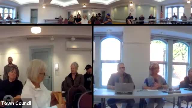 Local business owner urges lower repainting permit fee as council reviews codes