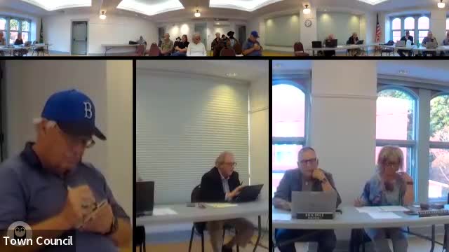 Council agrees to draft simplified rules of procedure for January review