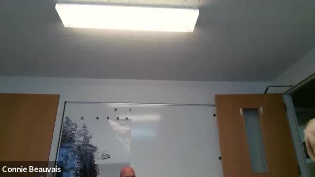 Federal-funded fiber build coming to Joyce area; county and utilities warn of limited provider choice and easement limits