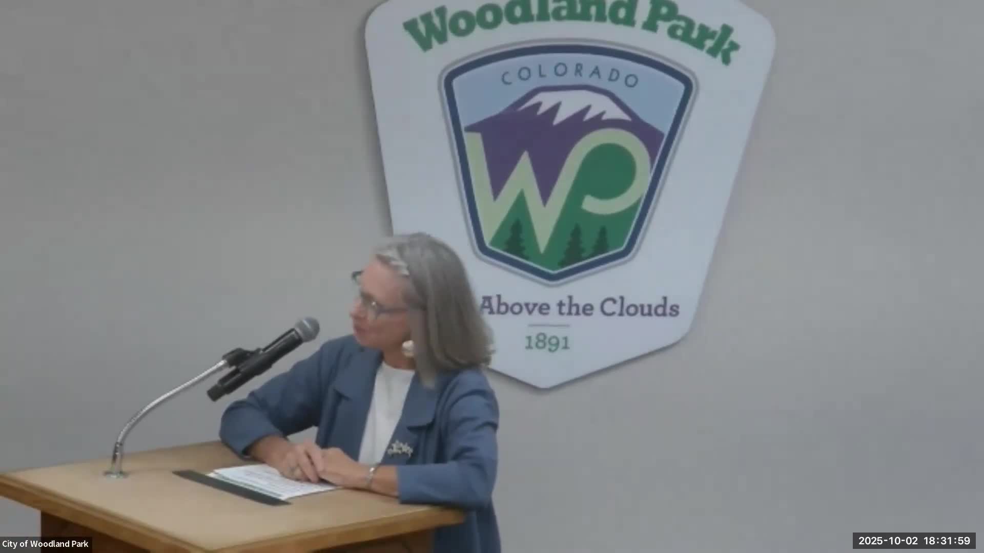 Mountain Artists group reports festival revenue, launches $250 mini‑grant program