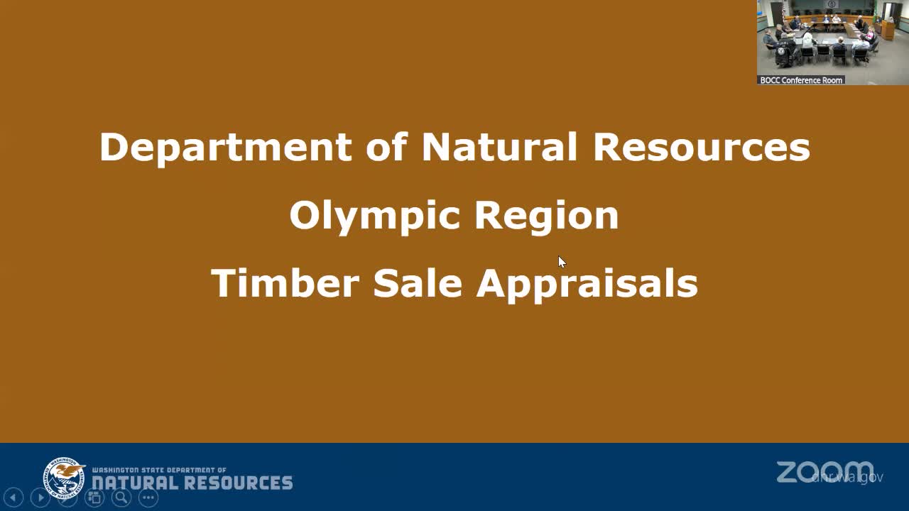 DNR staff outline timber-sale appraisal method, costs and local market channels