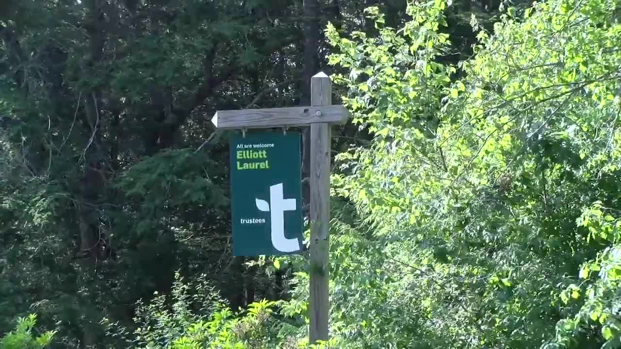 Elliot Laurel Reservation Offers Two Scenic Hiking Trails in Phillipston