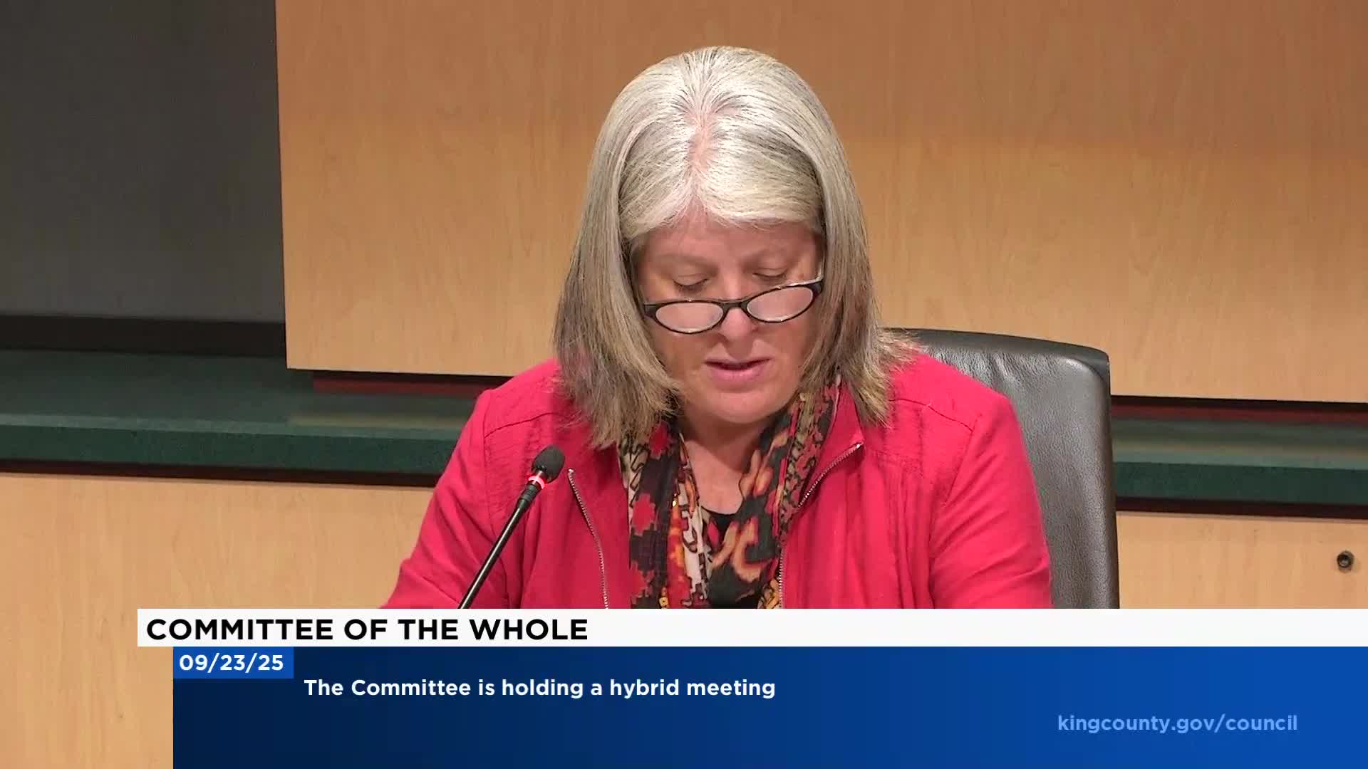 King County immigrant and refugee commission briefs council; four nominees advanced