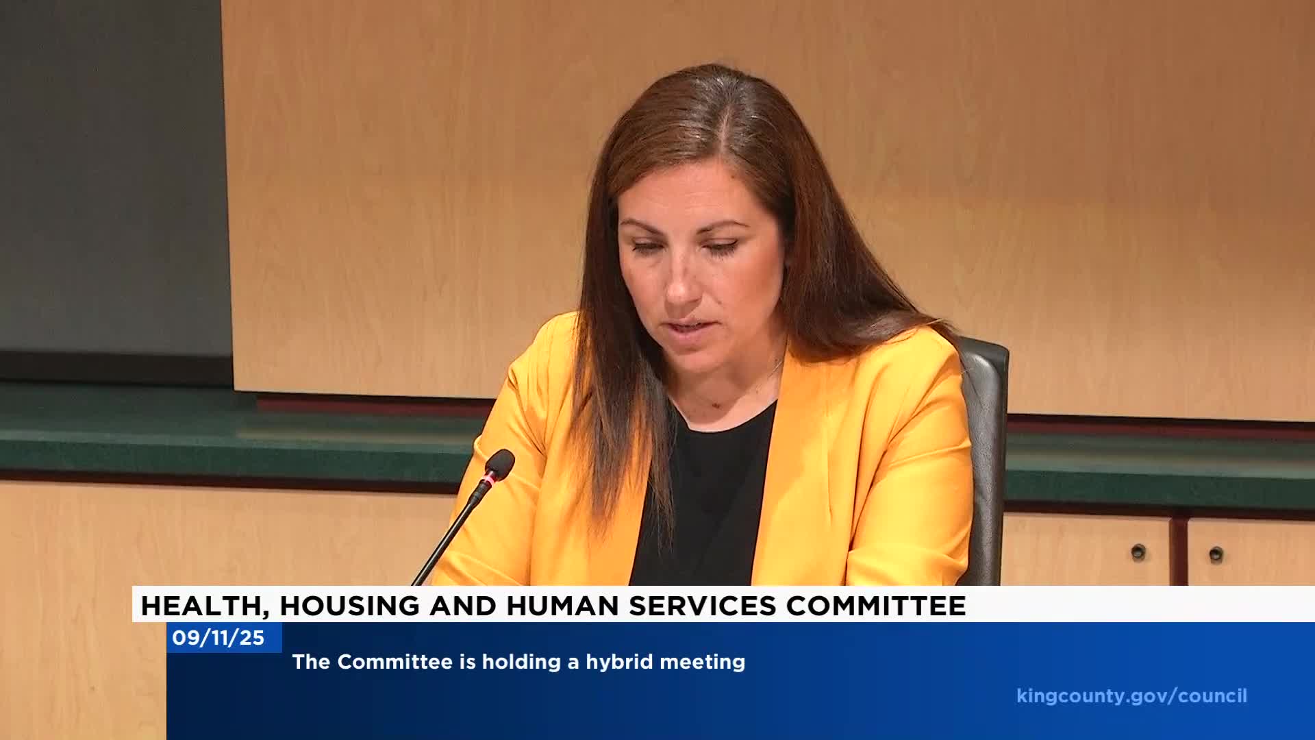 King County presenters cite large declines in youth homelessness but warn of funding threats