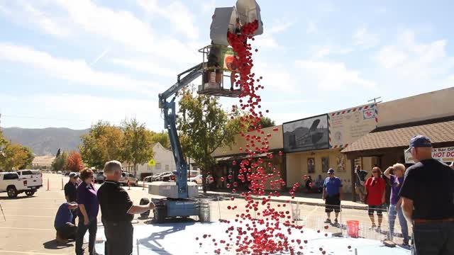 Tehachapi Apple Festival returns Oct. 11 with 5K, vendor rules, contests and family activities