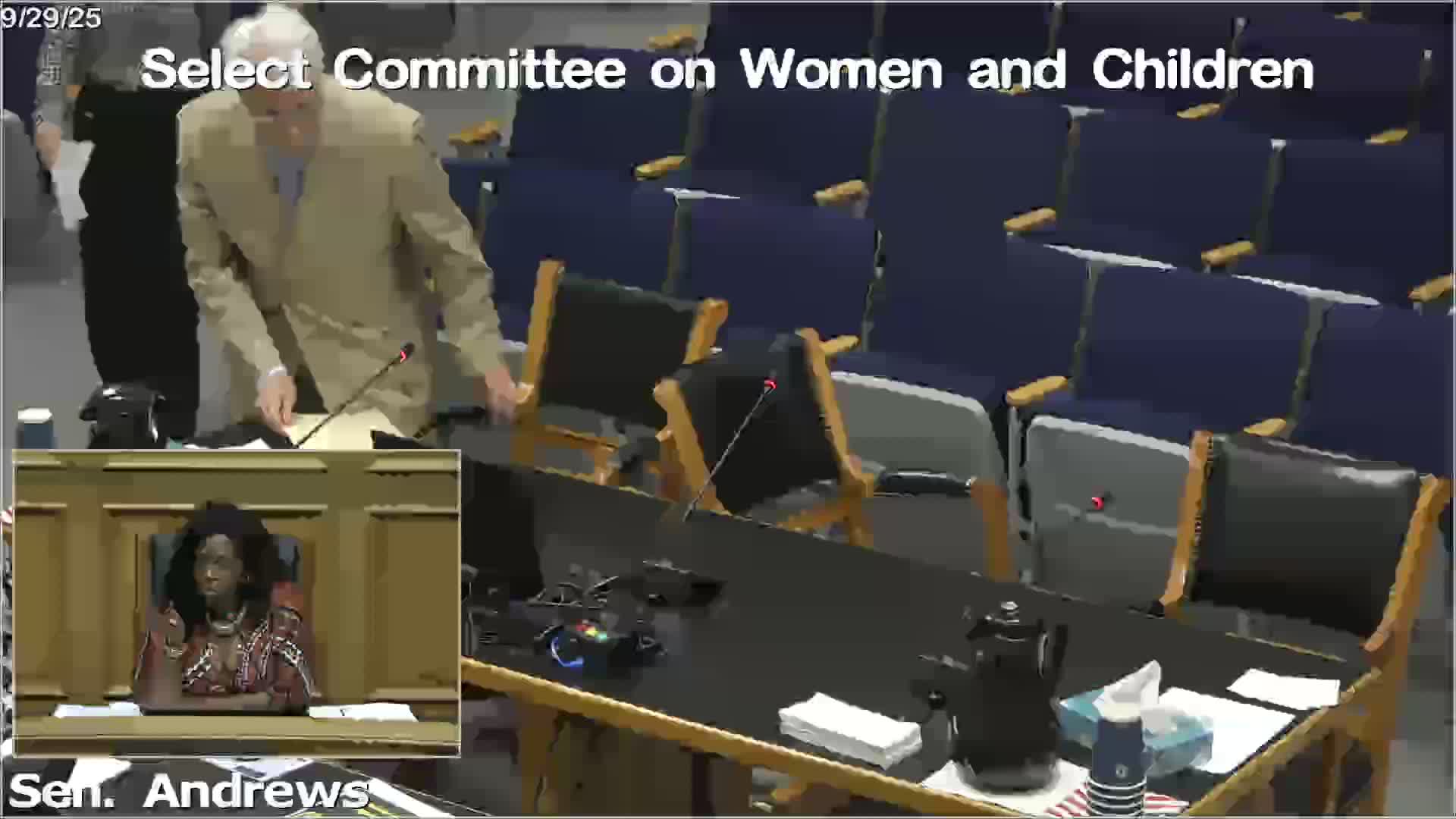 Parents and advocates tell lawmakers family‑court and DCFS processes can leave abused children unprotected; committee hears multiple personal accounts