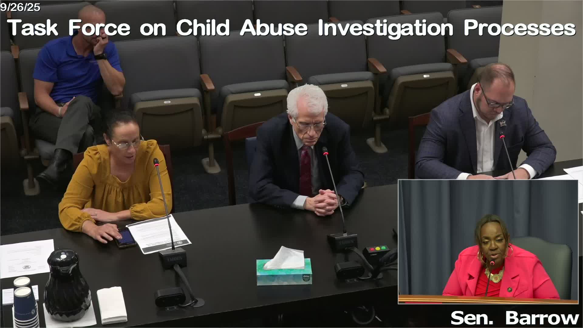 Parents and survivors tell task force of delays, dismissals and re‑traumatization in abuse cases