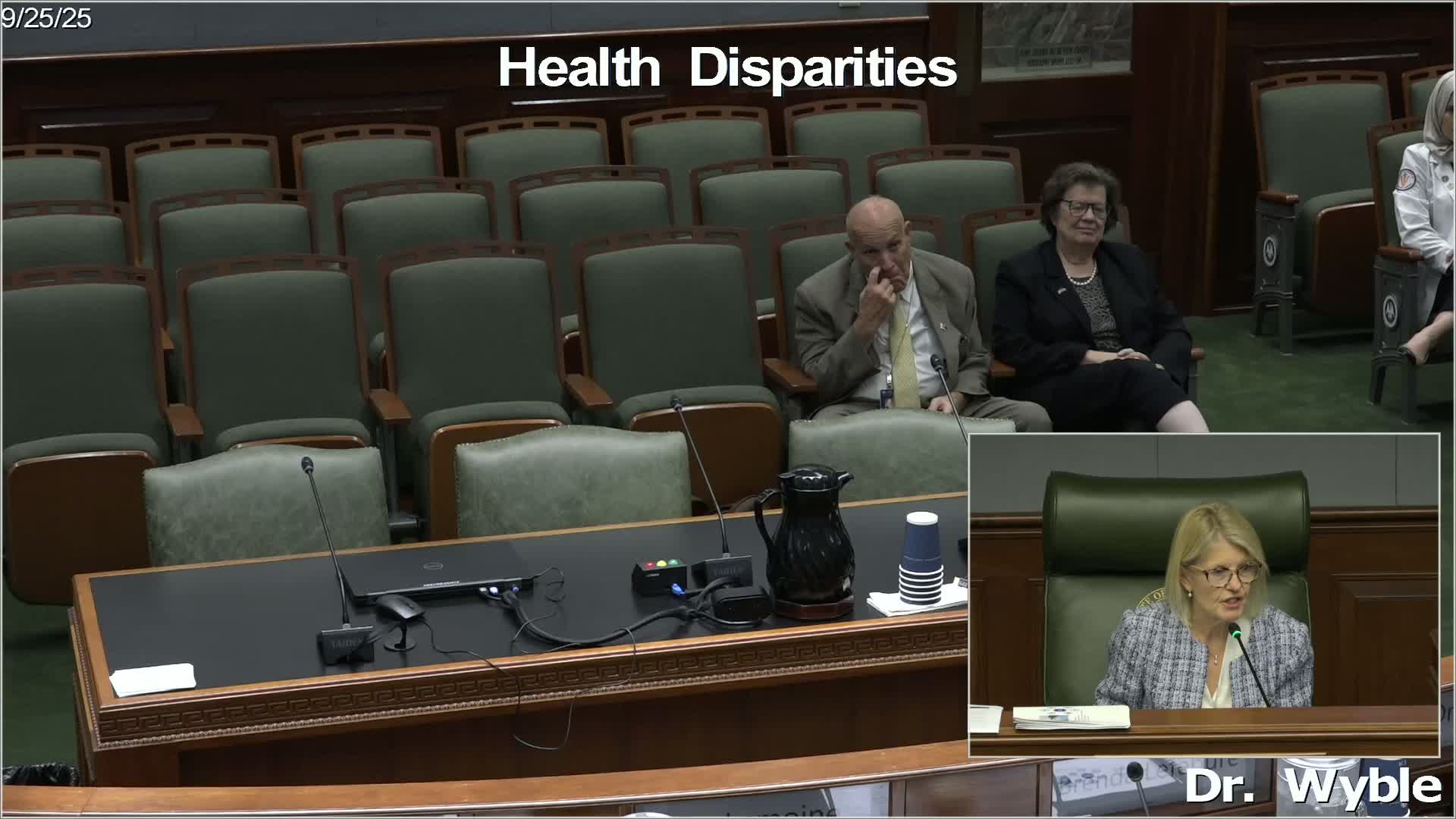 Louisiana task force makes poverty central to rural delivery-care plan, readies federal grant bid