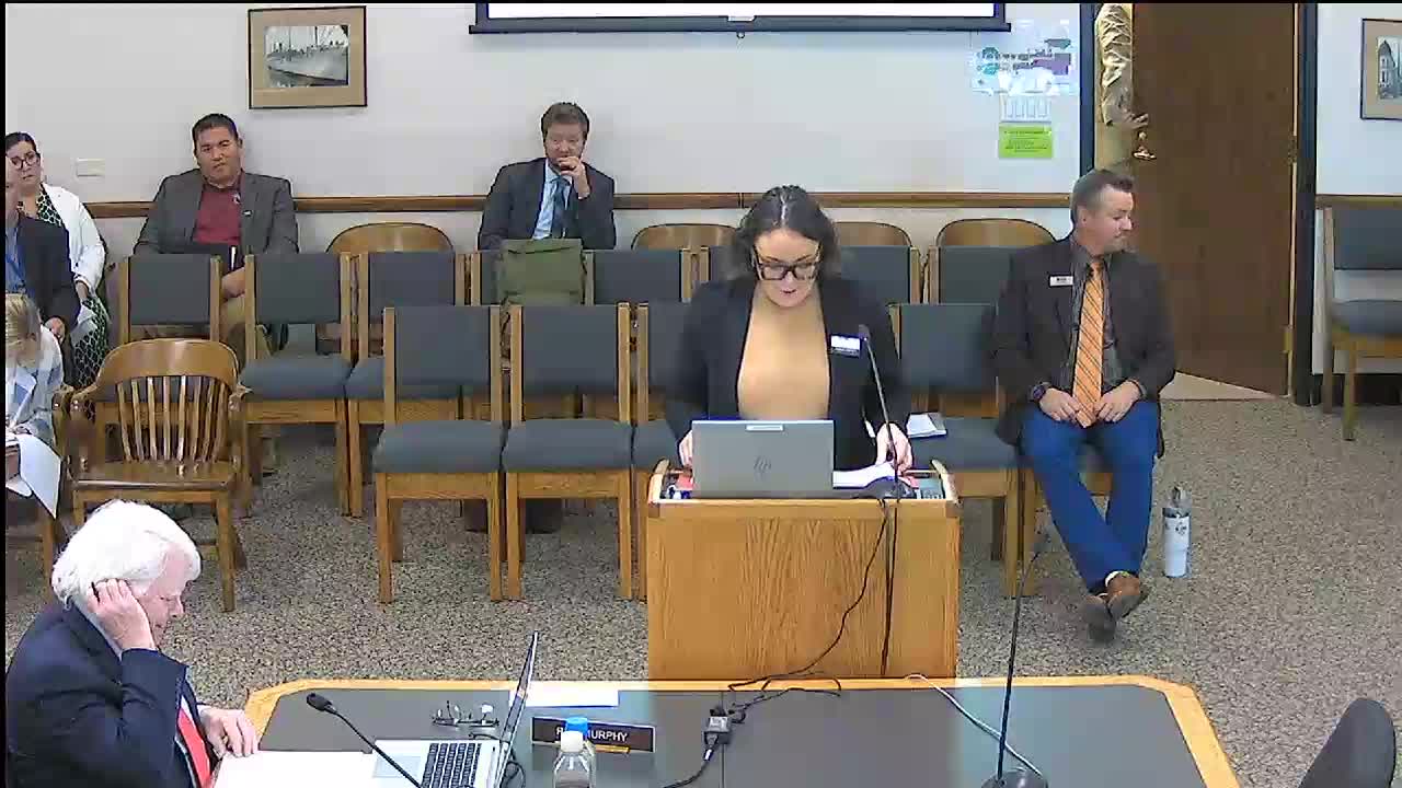 Council on the Arts outlines apprenticeships, Arts Across the Prairie installations and NEA funding match requirement