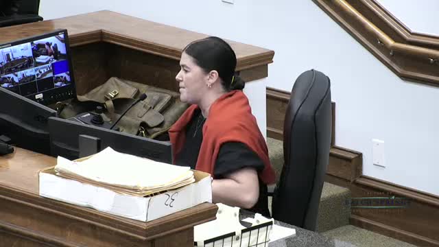 Balch Springs proposes mixed-use development with retail and condominiums on Beltline Road