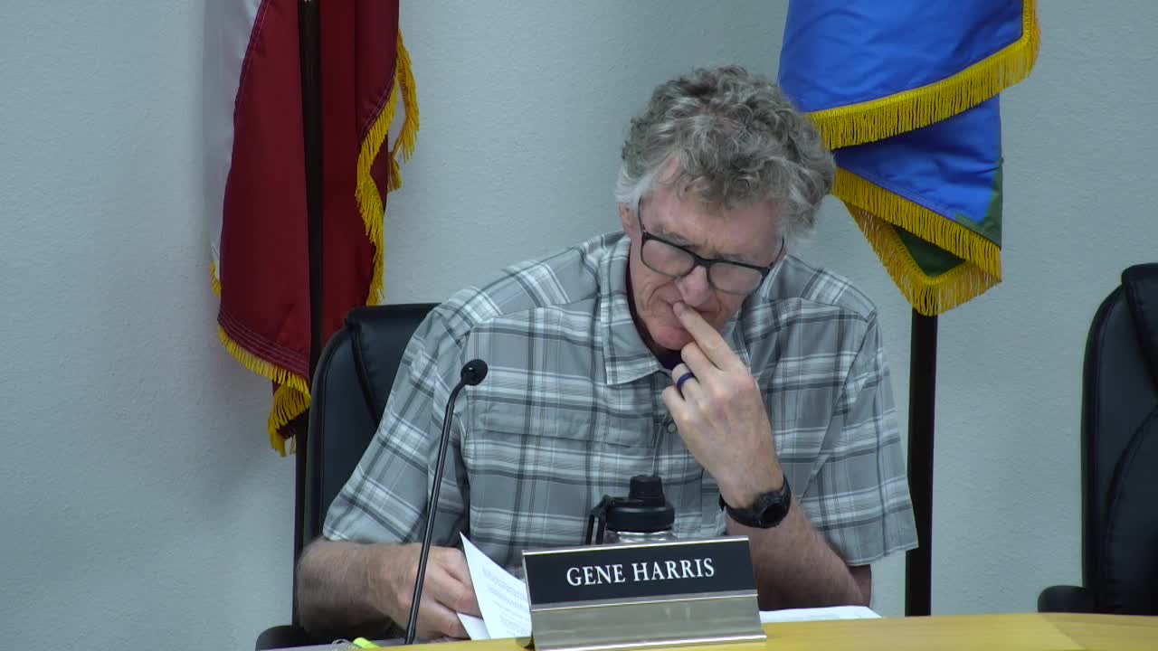 Committee debates council size, term limits and mayor succession language