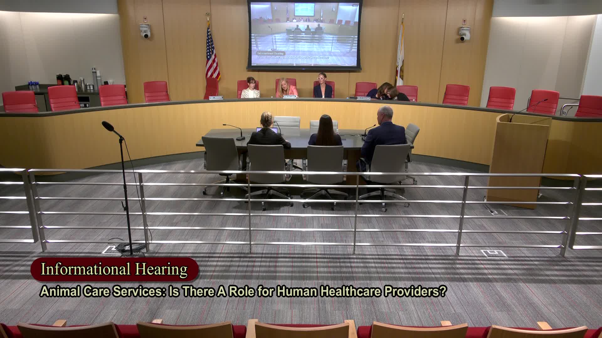 Physical therapists and chiropractors press California to let certified practitioners treat animals with less restrictive supervision