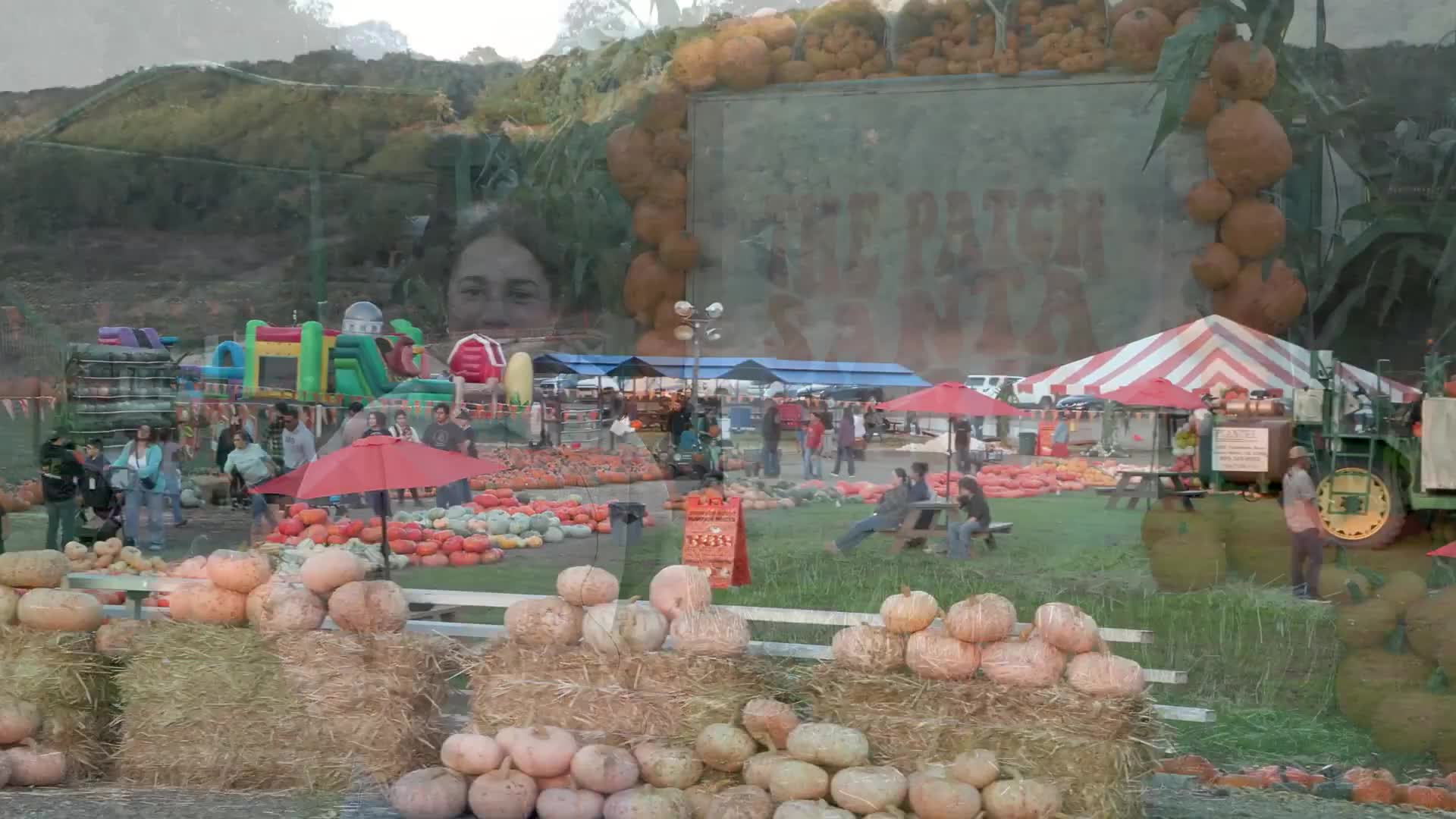 Patch Santa Maria invites community to fall pumpkin patch, corn maze and free family activities