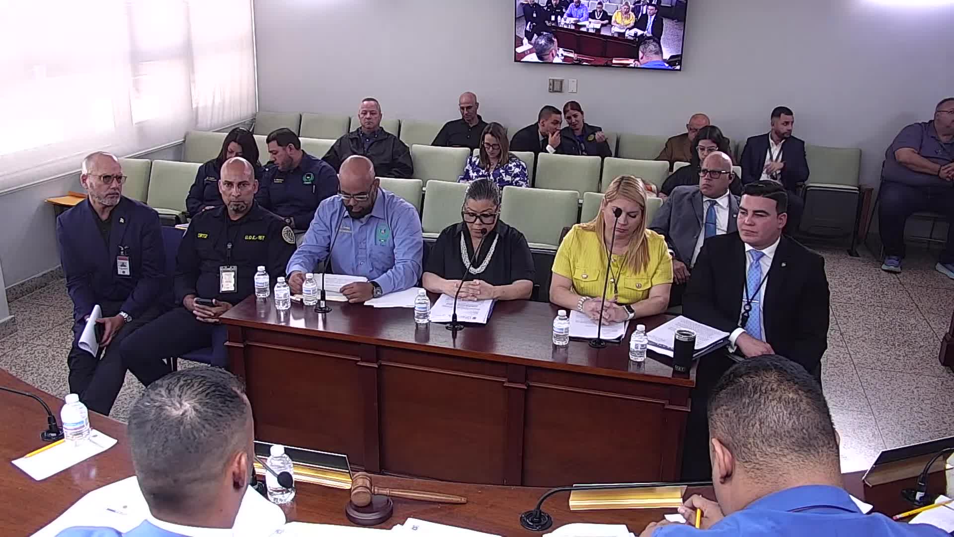 Puerto Rico Correction Officials Debate Gas Pepper Spray Ban's Impact on Youth Violence