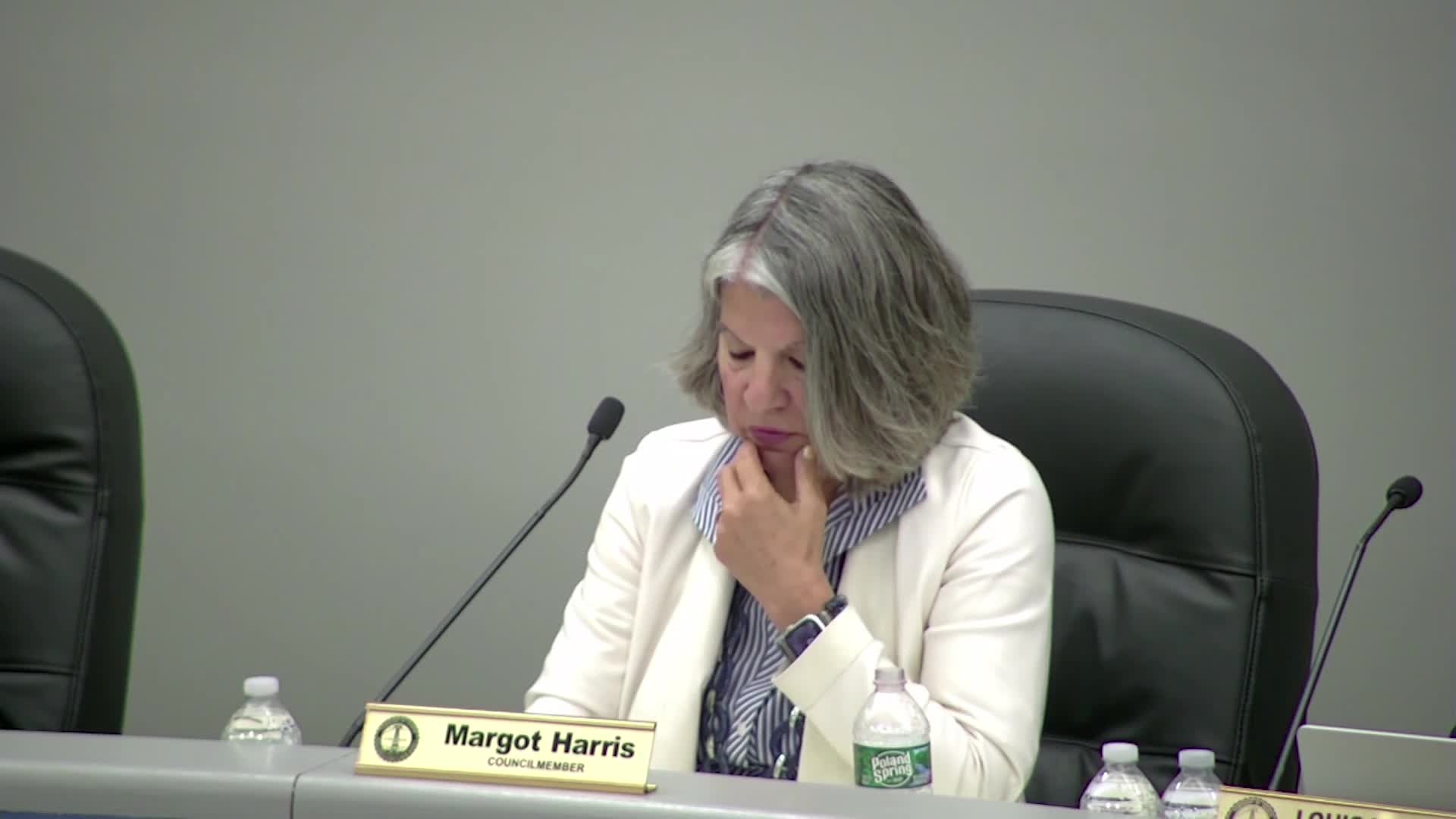 Council hears animal-shelter update; sports complex and field changes discussed