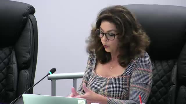 Brooksville City Council Conducts Public Hearing on Zoning Map Amendment