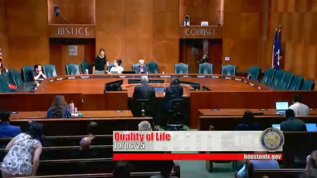 Houston City Council Committee Addresses Homeless Services and Housing Plans