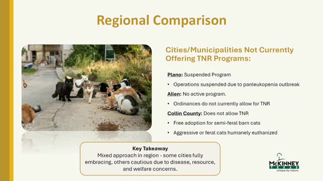 McKinney Council Explores Feral Cat Trap Neuter Return Program Options