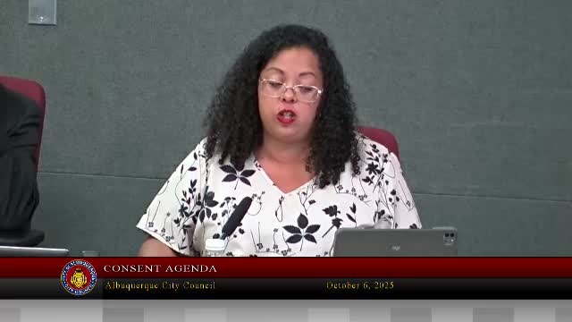 City Council Rejects Two-Week Deferral for Airport Funding Bill